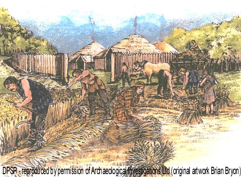 © Archaeological Investigations Ltd.  Iron Age settlement